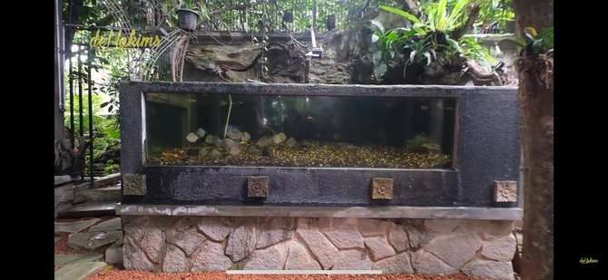 10 Potret Rumah Mewah Haji Asari, Bak Hutan di Tengah Kota, Ada Pohon Usia 15 Juta Tahun