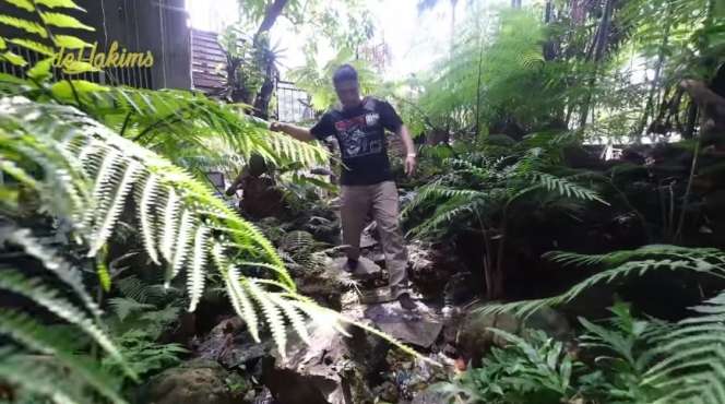 10 Potret Rumah Mewah Haji Asari, Bak Hutan di Tengah Kota, Ada Pohon Usia 15 Juta Tahun