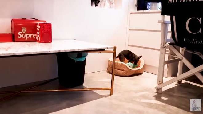 8 Potret Rumah Calista Cuaca Putri Konglomerat Indonesia, Super Mewah, Kamar Anjingnya Bikin Melongo!