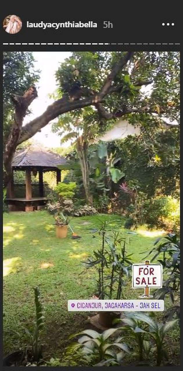 Beda Rumah Laudya Cynthia Bella di Indonesia VS di Malaysia Saat Masih Jadi Istri Engku Emran!
