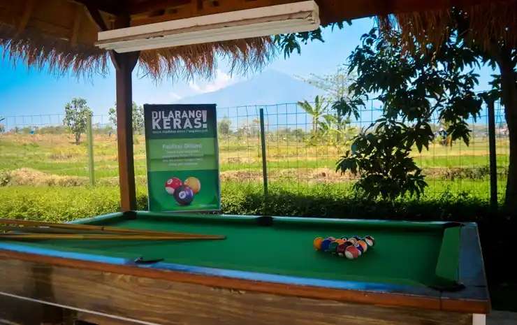 10 Potret Penginapan Inul Daratista ‘Saygon Cottage’, Ada Ruang Biliar di Tepi Sawah, Keren Abis!
