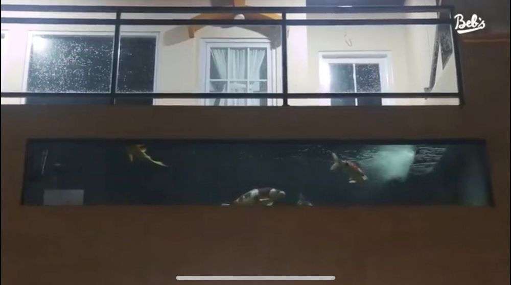 Adu Mewah 10 Rumah Komika Indonesia, Ada yang Tinggal di Tengah Hutan Hingga Istana Megah