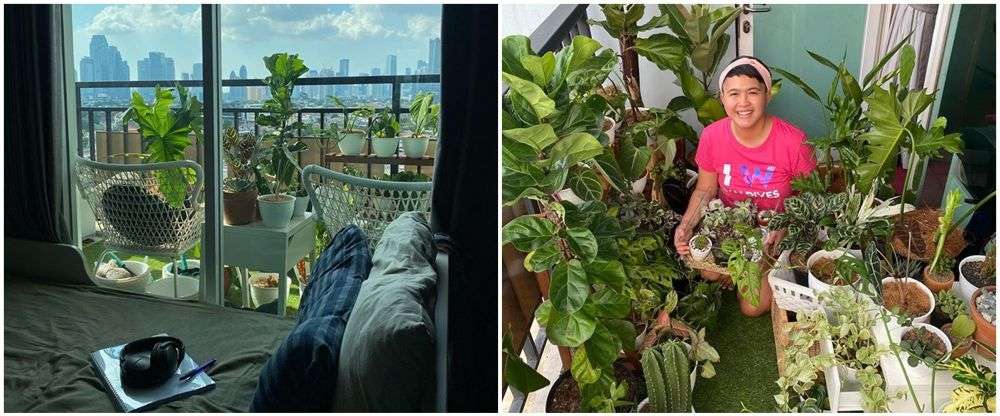 Adu Mewah 10 Rumah Komika Indonesia, Ada yang Tinggal di Tengah Hutan Hingga Istana Megah