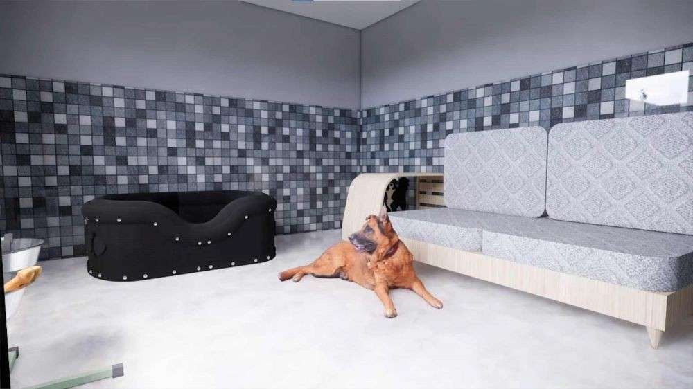 10 Potret Rumah Bimo Aryo Si ‘Kretek Abal-Abal’, Kamar Tidur Anjing Bak Hotel Berbintang! 
