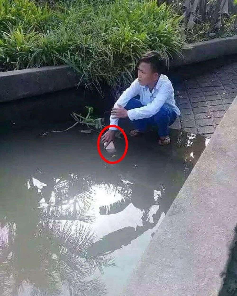 10 Momen Kocak Akibat Lupa, Bikin Capek Ketawa!