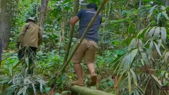 8 Momen Panji Petualang Ketemu Monster King Kobra Penghuni Hutan Angker, Garaga Kalah Gede!