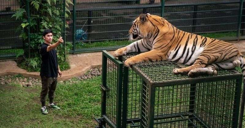 7 Rumah Mewah Artis dengan Fasilitas Unik, Ada Landasan Pacu Pesawat Hingga Bandara Pribadi