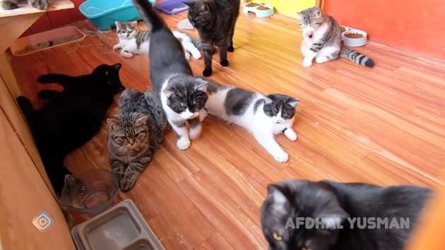 8 Potret Rumah Sensen Asisten Raffi Ahmad, Masuk Gang Sempit Dalamnya Mewah!