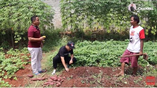 Jarang Muncul di TV! Narji Kini Tekuni Profesi Petani, 5 Penampakan Kebunnya Capai 2.400 Meter