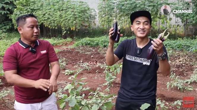 Jarang Muncul di TV! Narji Kini Tekuni Profesi Petani, 5 Penampakan Kebunnya Capai 2.400 Meter