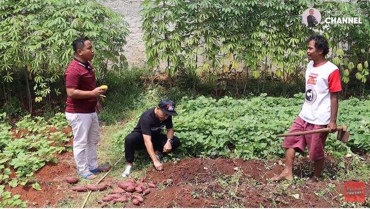 Jarang Muncul di TV! Narji Kini Tekuni Profesi Petani, 5 Penampakan Kebunnya Capai 2.400 Meter