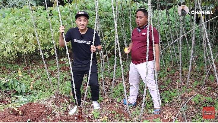 Jarang Muncul di TV! Narji Kini Tekuni Profesi Petani, 5 Penampakan Kebunnya Capai 2.400 Meter