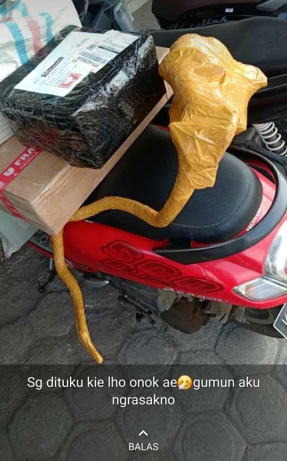 10 Bentuk Nyeleneh Bungkus Paket Barang, Kurirnya Auto Bingung!