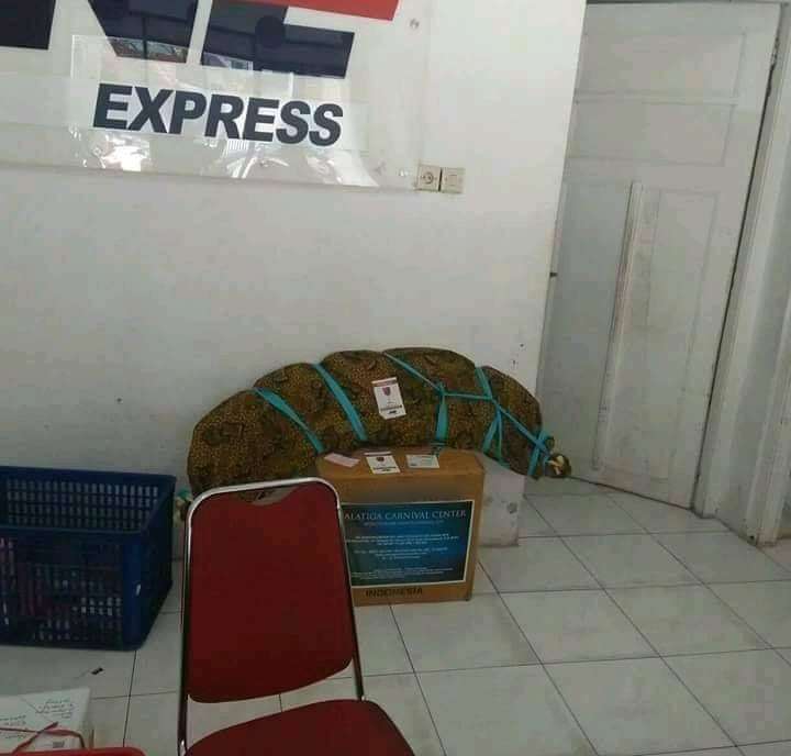 10 Bentuk Nyeleneh Bungkus Paket Barang, Kurirnya Auto Bingung!