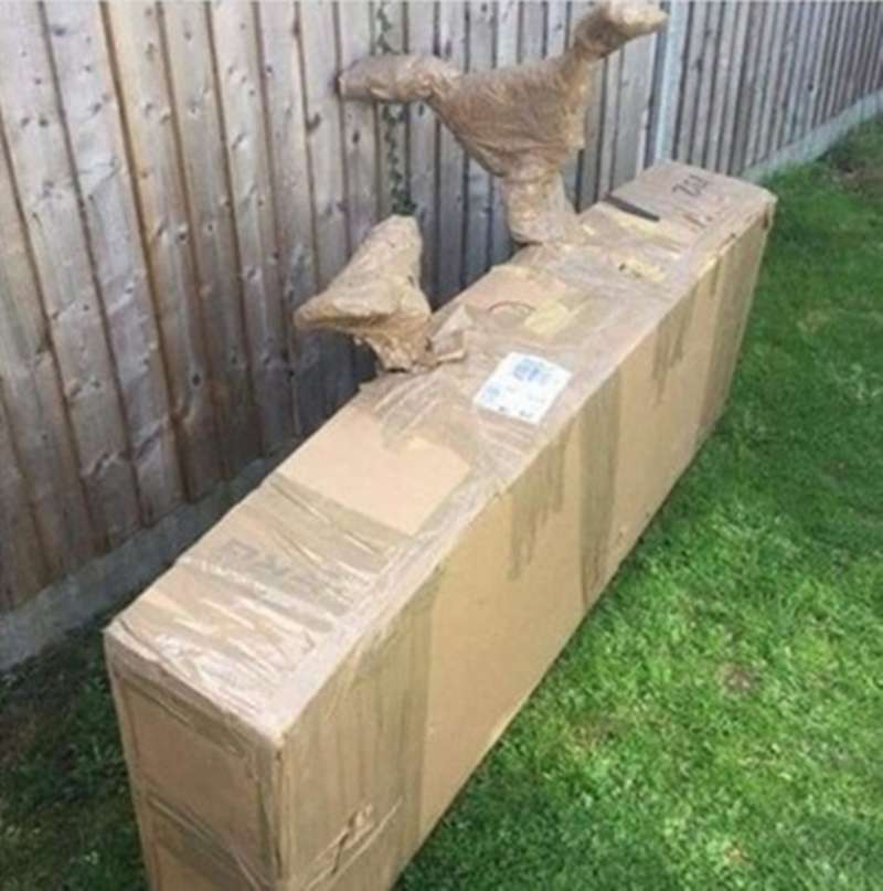 10 Bentuk Nyeleneh Bungkus Paket Barang, Kurirnya Auto Bingung!
