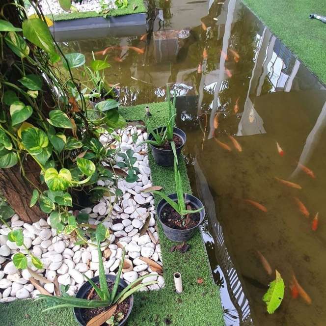 10 Potret Rumah Yusuf Mansur yang Super Mewah, Halaman Belakang The Real Surga Dunia