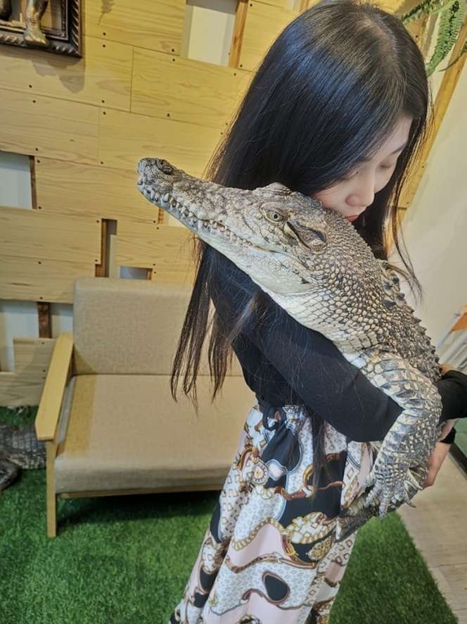 8 Potret Cewek Cantik Viral Pelihara 6 Buaya di Rumah, Tidur hingga ke Toilet Bareng!