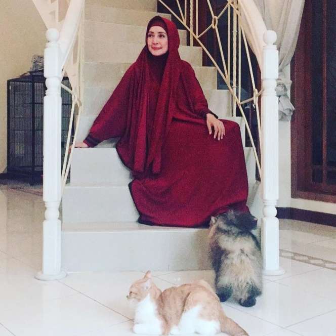 Potret Henidar Amroedi di Usia 60 Tahun Hidup Sendiri Bersama 5 Kucing!