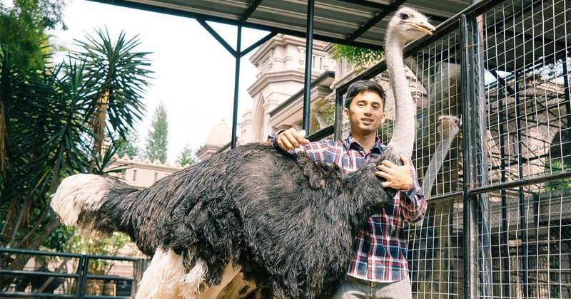10 Potret Kebun Binatang Pribadi Alshad Ahmad, Kandang Khusus Harimaunya Ngeri Banget!