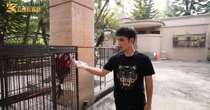 10 Potret Kebun Binatang Pribadi Alshad Ahmad, Kandang Khusus Harimaunya Ngeri Banget!
