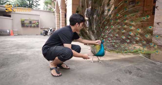 10 Potret Kebun Binatang Pribadi Alshad Ahmad, Kandang Khusus Harimaunya Ngeri Banget!