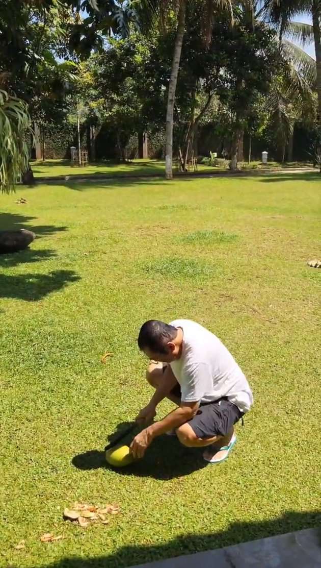 Momen Keseruan Mayangsari Berlibur di Purwokerto, Santuy Tenteng Tas Branded ke Kebun Jeruk!