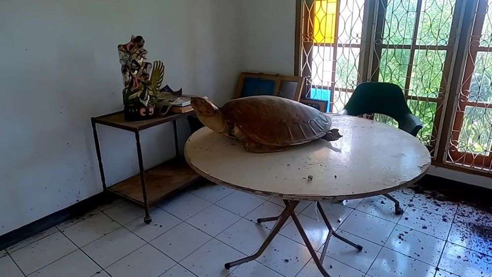 10 Potret Kondisi Rumah Isye Sumarni ‘Emak Preman Pensiun’, Ngeri Terbengkalai di Atas Bukit!