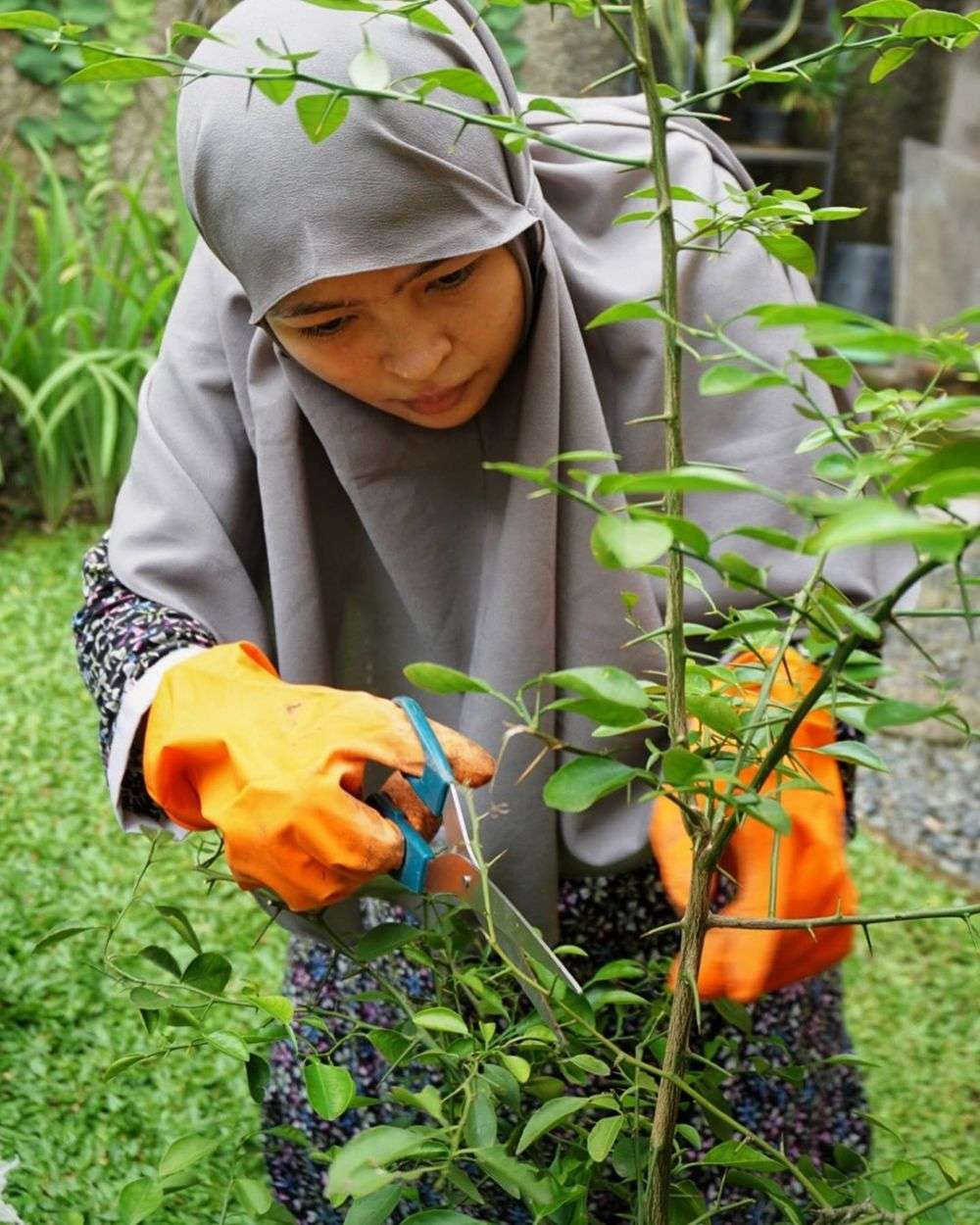 10 Potret Seleb Saat Asyik Berkebun, Gaya Ayu Ting Ting & Anya Geraldine ‘Hot’ Abis, Bikin Melek!