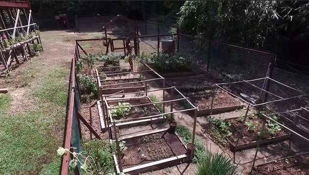9 Potret Rumah Andrew Kalaweit ‘Tarsan Tampan’ yang Tinggal Di Tengah Hutan, Isinya Lengkap Banget!