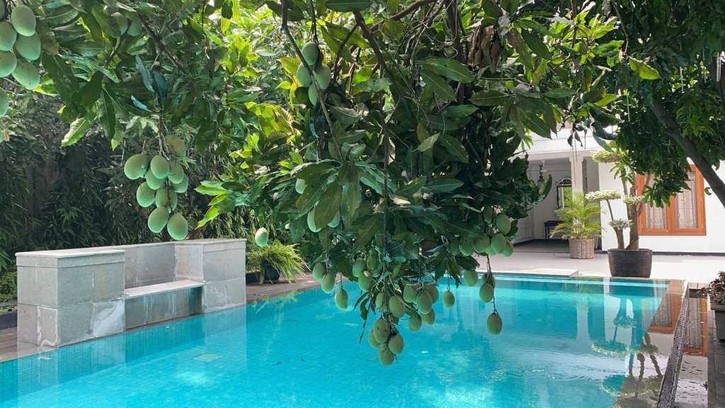 8 Potret Rumah Konglomerat Jusuf Hamka, Kolam Renang di Tengah Hutan, Super Mewah!