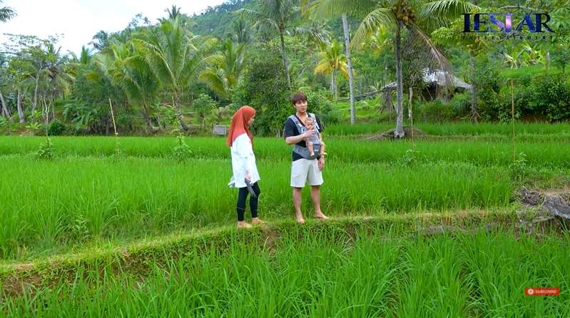 10 Potret Sawah Baby Leslar yang Luasnya Gak Ketulungan, Juragan Sejak Bayi!