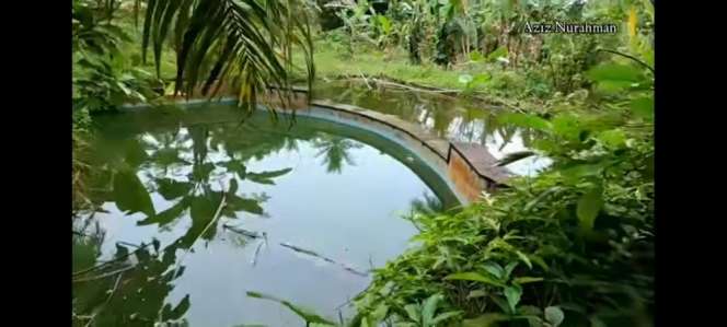 10 Potret Rumah Singgah Ahmad Dhani yang Terbengkalai 5 Tahun, Bak ‘Ditelan’ Pepohonan, Serem Abis!