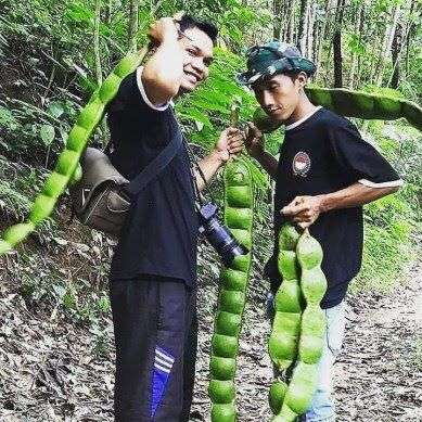 10 Potret Makanan Ukuran Super Jumbo, Auto Bikin Kenyang!