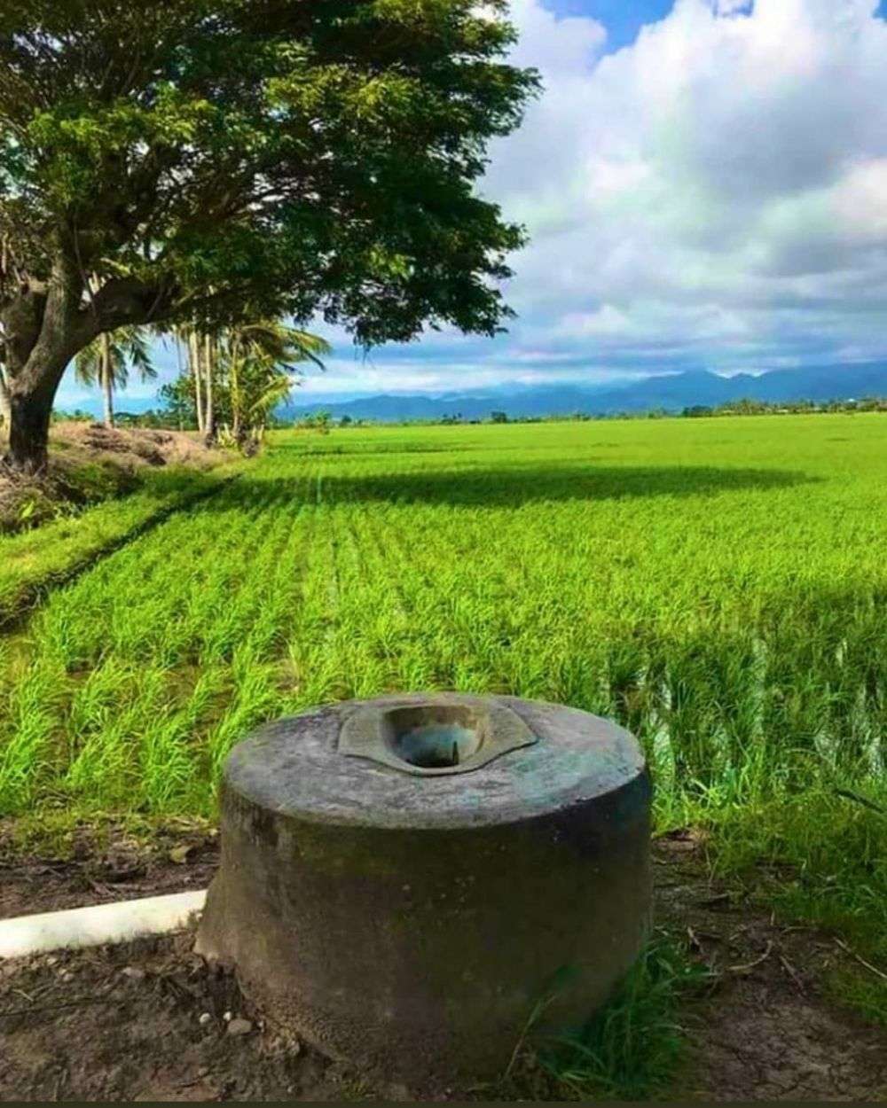 10 Potret Toilet Nyeleneh di Tempat Tak Biasa, Bikin Mikir Dua Kali!