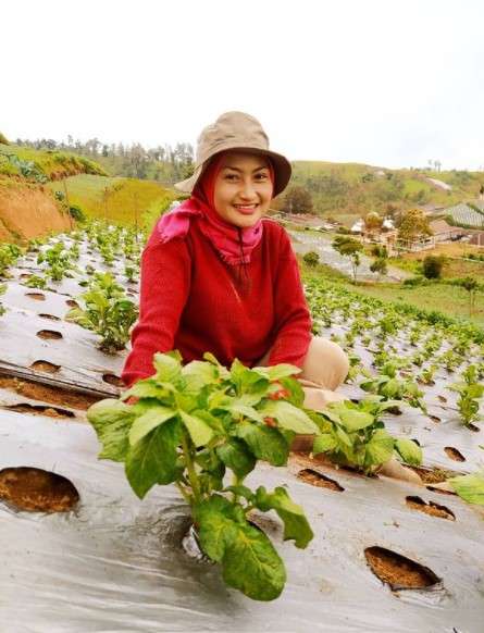 Ingat Biduan ‘Hot’ Novi Listiana, Nasibnya Berubah Drastis Kini Jadi Petani, Lihat 8 Potretnya