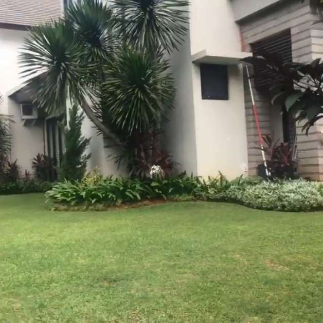 10 Potret Rumah Mewah Nafa Urbach, Dulu Diselingkuhi Suami Kini Tajir Melintir!