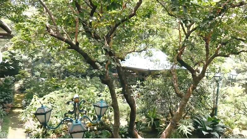 8 Potret Rumah Keponakan Soeharto di Menteng, Tamannya Bak Kebun Raya Bogor, Bikin Kesasar!