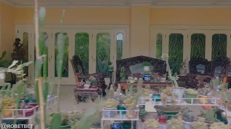 8 Potret Rumah Keponakan Soeharto di Menteng, Tamannya Bak Kebun Raya Bogor, Bikin Kesasar!