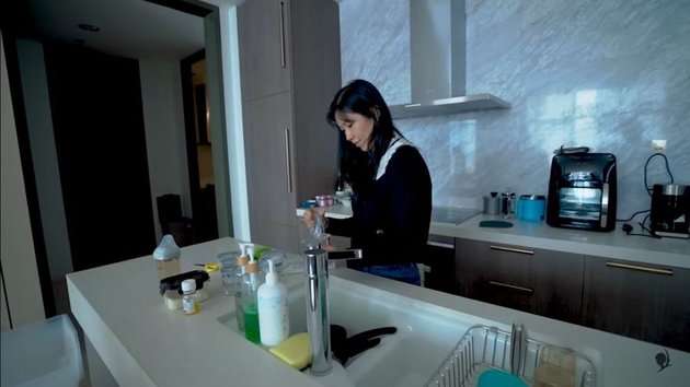 Potret Apartemen dr. Richard Lee di Kawasan Elit Jakarta, Dilengkapi Private Lift 
