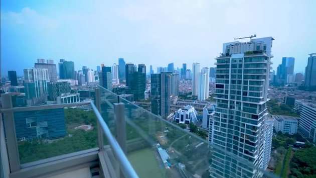 Potret Apartemen dr. Richard Lee di Kawasan Elit Jakarta, Dilengkapi Private Lift 