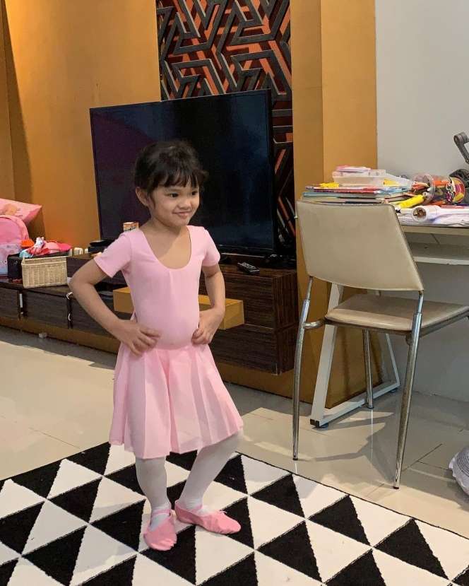 8 Potret Rumah Mewah Faldo Maldini, Gagal Jadi DPR & Gubernur Kini Jadi Stafsus Mensesneg