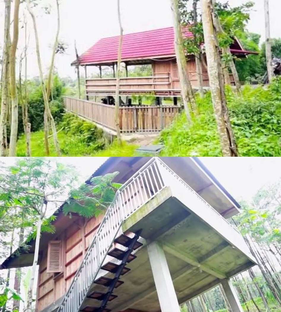 6 Potret Rumah Artis di Tengah Hutan, Terakhir Bak Surga, Ada Kolam Renang & Sungai Mengalir!