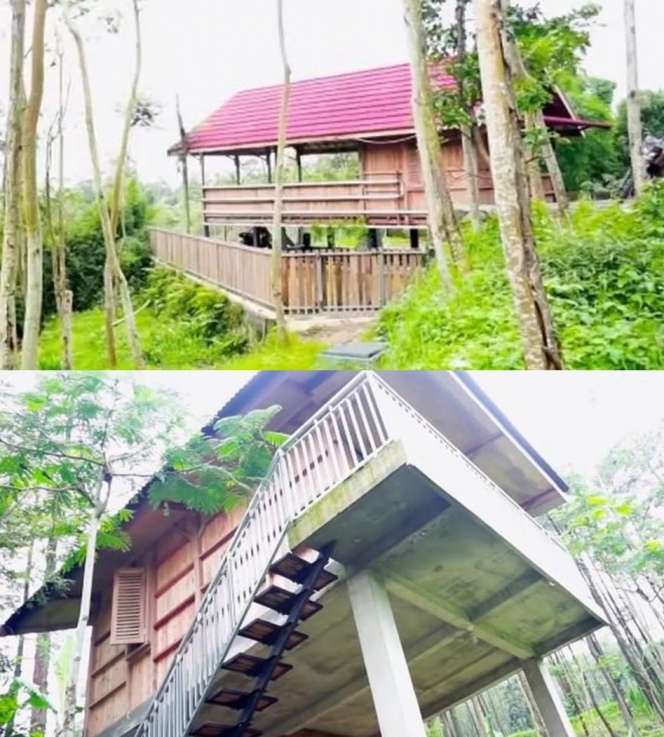 6 Potret Rumah Artis di Tengah Hutan, Terakhir Bak Surga, Ada Kolam Renang & Sungai Mengalir!