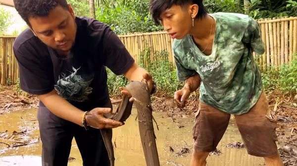 Potret Panji Petualang Kuras Empang Emak, Ternyata Ketemu Ular Predator Gendut Bermuka Jelek!