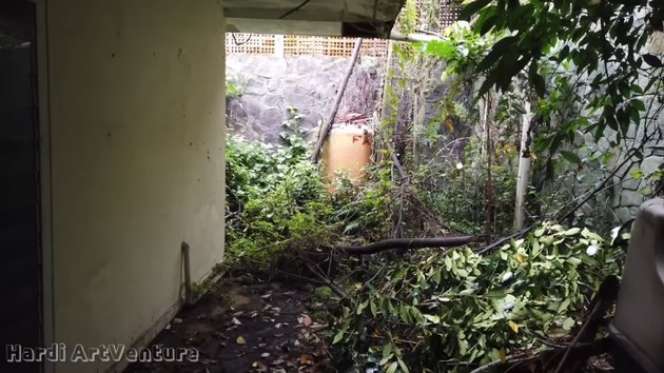 9 Potret Rumah Terbengkalai Cut Keke di Bandung, 5 Tahun Tak Ditempati Kini Bak Hutan Liar!