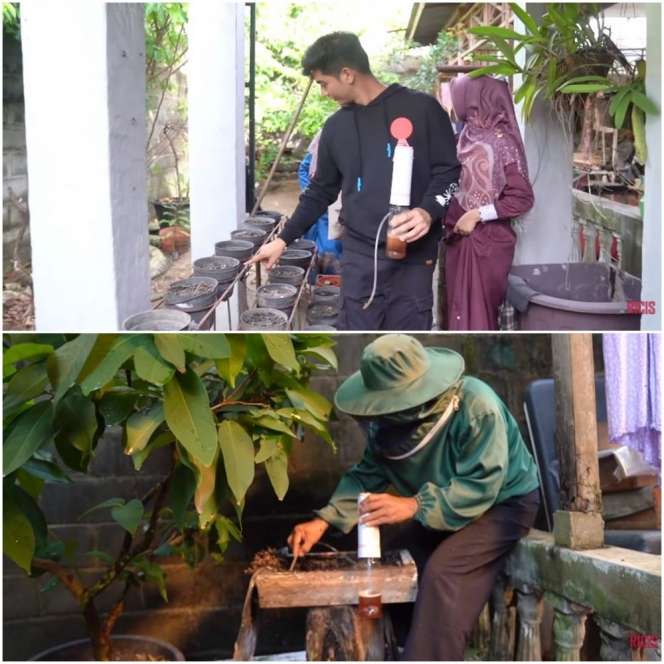 Luas Banget, Potret Rumah Orangtua Teuku Ryan Suami Ria Ricis di Aceh, Ada Tempat Budidaya Lebah dan Anggrek!