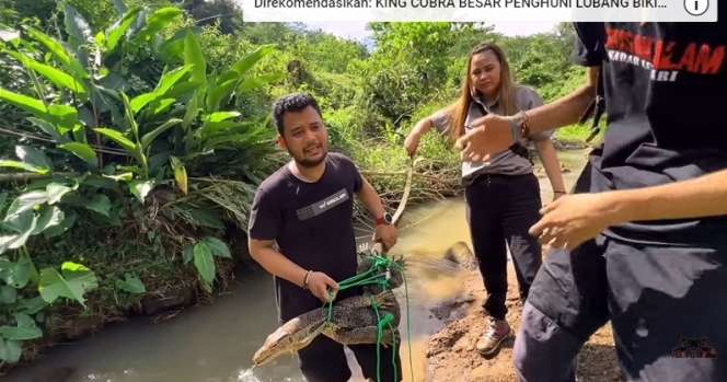 9 Potret Panji Petualang Temukan Biawak `Rasa` Komodo, Pemakan Sapi, Ukurannya Bikin Bergidik!