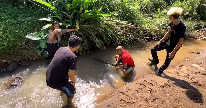 9 Potret Panji Petualang Temukan Biawak `Rasa` Komodo, Pemakan Sapi, Ukurannya Bikin Bergidik!