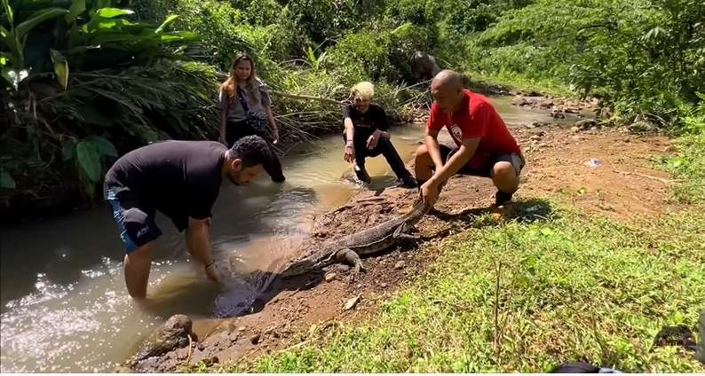9 Potret Panji Petualang Temukan Biawak `Rasa` Komodo, Pemakan Sapi, Ukurannya Bikin Bergidik!