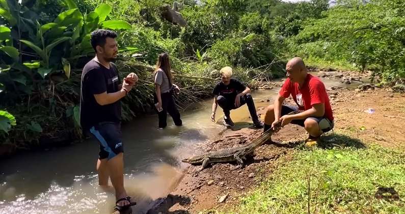 9 Potret Panji Petualang Temukan Biawak `Rasa` Komodo, Pemakan Sapi, Ukurannya Bikin Bergidik!